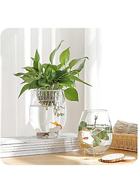 Chậu thuỷ tinh miệng khum chuyên dùng trồng cây thủy sinh, thủy canh, bình nuôi cá để bàn