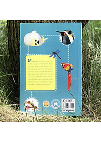 Sách 10 Vạn Điều Lý Thú Về Động Vật - Những Loài Ngộ Nghĩnh