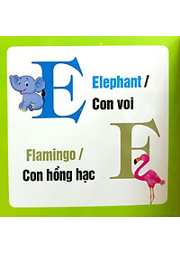 Từ Điển Hình Ảnh Cho Bé - Chữ Cái Tiếng Anh