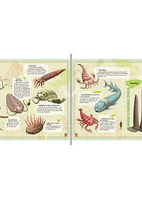 Sách thiếu nhi - Theo Dòng Thời Gian - Thời Tiền Sử (Bìa cứng)