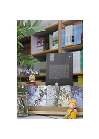 product-img-2