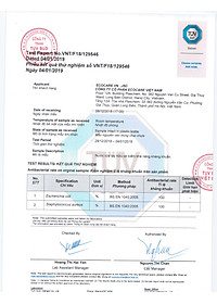 Nước rửa tay hữu cơ diệt khuẩn dạng bọt tinh dầu Quế 250ml thương hiệu Ecocare