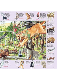 Sách Thử tài tìm kiếm – Động vật