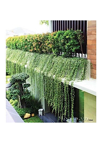 10 Kg Sơn Chống Thấm Ngược, Môi Trường Ẩm Nhà Vệ Sinh, Bể Cá, Bể Âm TAIKO CT4 - Tặng Kèm Vải Kết Cấu