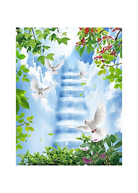 product-img-2