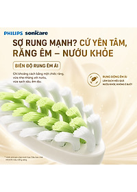 product-img-13