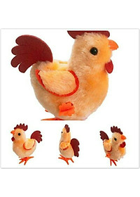product-img-1