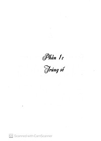 product-img-8