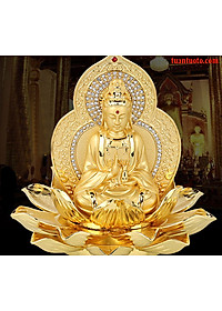 product-img-7