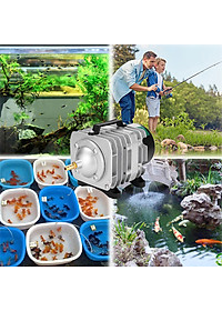 Máy sục sủi thổi khí oxy hồ bể cá cảnh 25W - 45L/P chất lượng cao,công suất mạnh, tiết kiệm điện