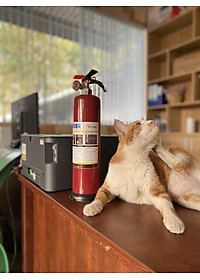 product-img-13
