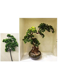 product-img-6