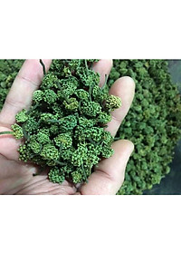 500gr Trà nụ hoa tam thất - Cao Cấp