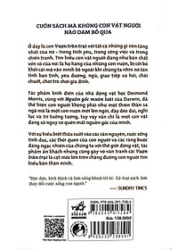 product-img-8