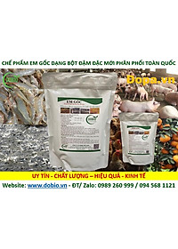 product-img-5