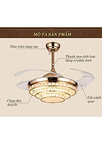 product-img-3