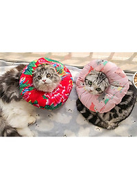 product-img-25