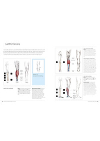 product-img-4