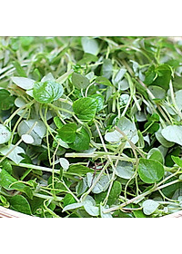 Hạt Giống Rau Càng Cua Phú Nông