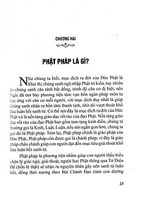 product-img-8
