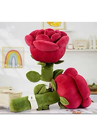 product-img-2