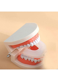 product-img-11