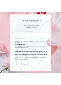 Combo 3 Hộp Kẹo Dẻo Collagen Hỗ Trợ Trẻ Hóa Sáng Da - Cải Thiện Sức Khỏe Tóc Móng Vị Đào Kết Hợp Biotin, Vitamin C & Vitamin E Coolvita (60 viên x 3g)/hộp