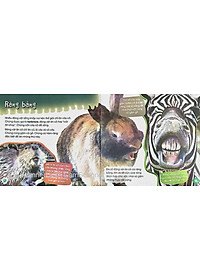 Sách Độc Lạ Phi Thường - Loài Ăn Chay