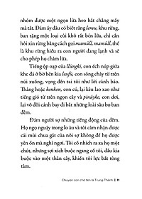 product-img-10
