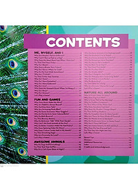 product-img-4