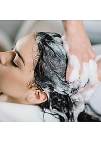 Bộ Dầu Gội và Xả Whoo Spa Shampoo & Rinse