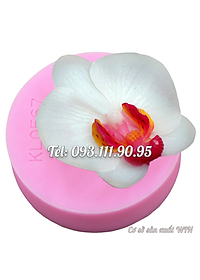 product-img-12