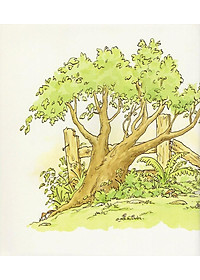 product-img-8