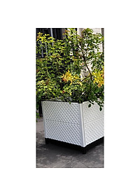 Chậu ghép trồng cây Hàng Chính Hãng DAIM Nhật Bản L51*W43*H46cm Chậu nhựa thông minh trồng rau, hoa, cây cảnh tại nhà