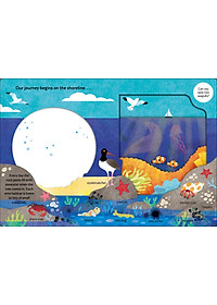 Look Closer: Under The Ocean