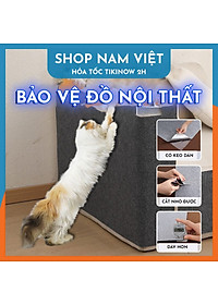 Tấm Mèo Cào Dán Bảo Vệ Nội Thất, Tấm Cào Móng Dán Tường