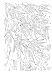 Tô Màu Người Lớn - MAI LAN CÚC TRÚC