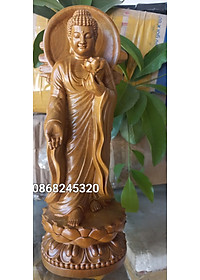 product-img-2