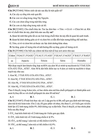 product-img-13