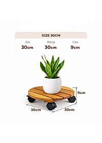 Đế Lót Chậu Cây ANKAN Có Bánh Xe - Gỗ Tràm Mặt Tròn 30cm, Tải Trọng 60kg - Màu Vàng