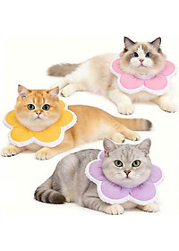 product-img-75