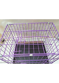 product-img-1