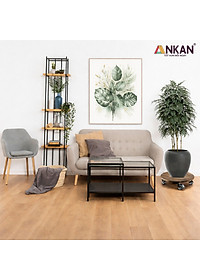 Đế Lót Chậu Cây Có Bánh Xe ANKAN - Hình Tròn D30cm, Gỗ Tràm Bông Cao Cấp, Chịu Tải 120kg (Màu Xám Đen)