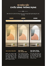 product-img-7
