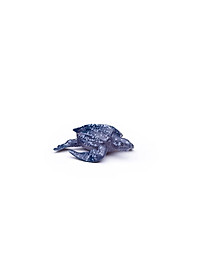product-img-15