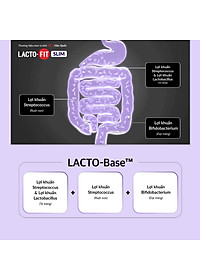 60 Gói Men Vi Sinh Hàn Quốc LACTO-FIT SLIM Cải Thiện Đường Ruột, Hỗ Trợ Người Ăn Kiêng (60 gói x 2g)