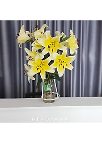 Chăm sóc hoa lâu tàn bằng bột dưỡng cho hoa cắt cành nhập khẩu Israel (Set 50 gói) giữ hoa lâu tàn gấp 2 lần bình thường và 14 ngày không thay nước mới