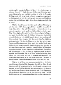 product-img-13