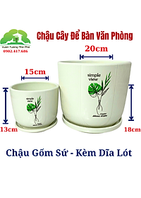 product-img-8