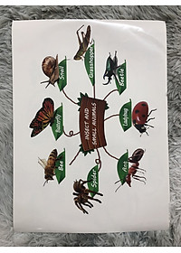 product-img-12